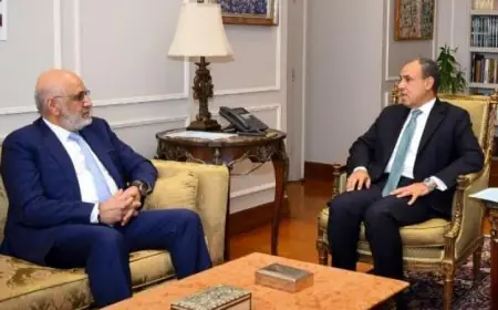 وزير الخارجية المصري يستعرض آليات تعزيز التعاون مع البنك الدولي لتعزيز التنمية الاقتصادية