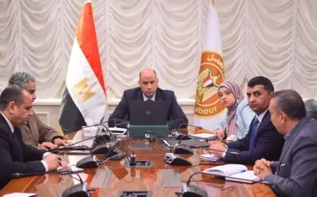 وزير العمل يعزز متابعة أوضاع العمالة المصرية بالخارج ويكثف الجهود لحمايتها