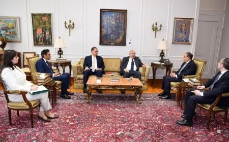 وزير الخارجية يكشف أحدث التطورات في قضية المفقودين والمصابين بسبب الهجرة غير النظامية