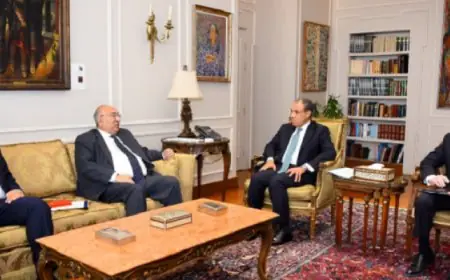 وزير الخارجية يشدد على أهمية جهود اللجنة الوطنية لمكافحة الهجرة غير الشرعية وتعزيز الوقاية والتوعية