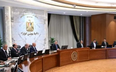 الحكومة تضع خطة استراتيجية لتوسيع وتعزيز التعاون مع دول القارة الأفريقية