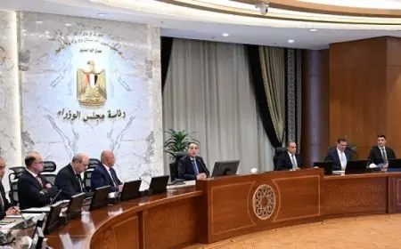 الحكومة تطلق خطة عمل مبتكرة لتعزيز التعاون مع دول أفريقيا وتوسيع آفاق الشراكة