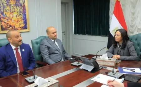 وزيرة التضامن تعقد جلسات مع أعضاء مجلس النواب لدعم طلبات دوائرهم بسرعة وفعالية