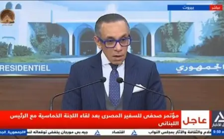 سفير مصر في بيروت يؤكد دعم اللجنة الخماسية للدولة اللبنانية في المرحلة الحالية