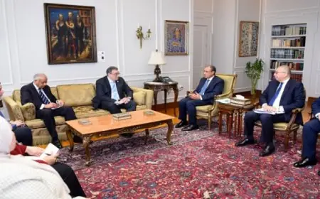 وزير الخارجية يبرز أهمية دور التنظيم والإدارة في تطبيق نظم حديثة لإدارة الموارد البشرية