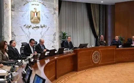 الحكومة المصرية توافق على طلب لإجراء مسح جوي جيوفيزيقي شامل لاستكشاف ثروات البلاد