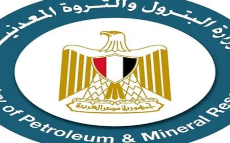 مسح جوي شامل لاستكشاف المعادن في المناطق الواعدة يعزز قطاع البترول