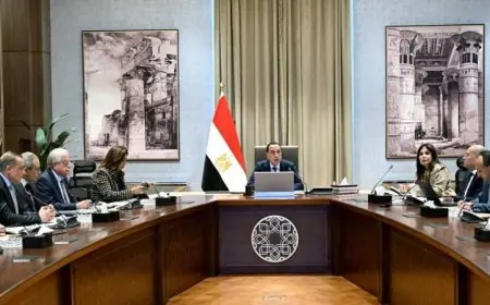 رئيس الوزراء يراقب تقدم المشروعات الخدمية والتنموية في القاهرة