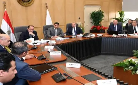 وزير الصناعة يستعرض مع وزراء الاستثمار والتجارة الخارجية والمالية خطط البرنامج الوطني لتطوير صناعة السيارات