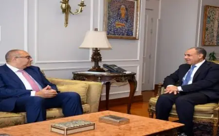 وزير الخارجية يرحب بمبعوث الأمم المتحدة الخاص لتمويل التنمية لتعزيز التعاون الدولي