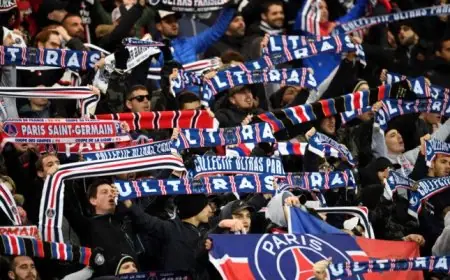 خسائر مالية كبيرة لجماهير باريس سان جيرمان بسبب تذاكر مزيفة عبر تيك توك