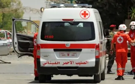 مقتل 16 شخصًا وإصابة 35 جراء غارات إسرائيلية على منطقة بعلبك في لبنان