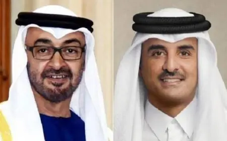 قطر والإمارات تتضافران لتعزيز التعاون لمواجهة التحديات الراهنة