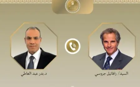 وزير الخارجية والمدير العام للطاقة الذرية يناقشان تداعيات التصعيد العسكري في المنطقة