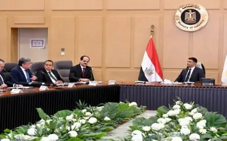 وزير الصناعة يناقش تحديات صناعة السيراميك والبورسلين وطرق تعزيز الإنتاج والتصدير