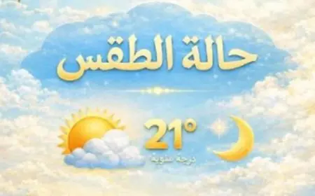 الأرصاد الجوية تعلن عن طقس دافئ نهارا وبارد ليلا مع درجة حرارة عظمى تبلغ 21 في القاهرة