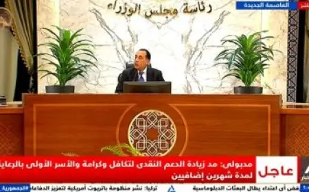 عبد العاطي يُناقش مع نظيريه الإماراتي والتركي تداعيات التصعيد العسكري في المنطقة