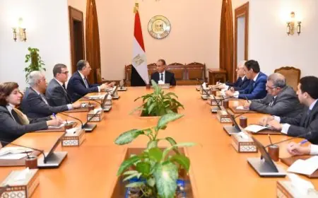 عبد العاطي يأمر بتعزيز متابعة أوضاع المصريين المقيمين في الخارج وتسهيل الخدمات القنصلية