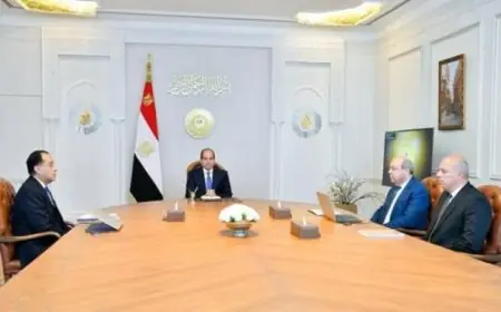 الرئيس السيسي يراقب تطورات تحديث المطارات المصرية وتعزيز أنظمة العمل فيها