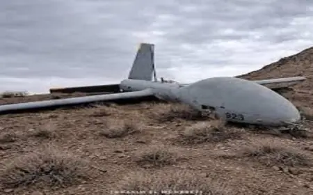 الجيش الإيراني يعلن عن إسقاط طائرتين مسيرتين إسرائيليتين من طراز هيرمس في محافظة لرستان