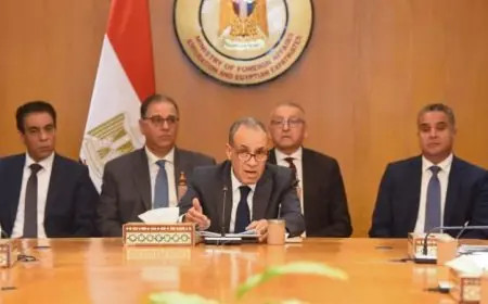 استضافة وزارة الخارجية لاجتماع تنسيقي هام لمتابعة قضايا المصريين المقيمين بالخارج