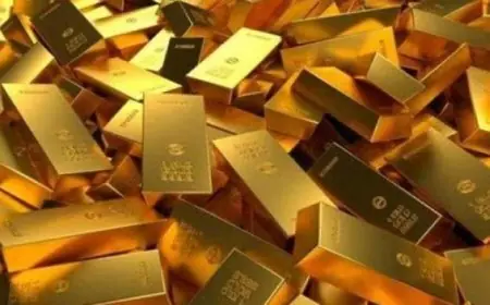 تراجع سعر أوقية الذهب عالميا بعد قفزة تاريخية تزيد عن 861% على مدى 20 عاما