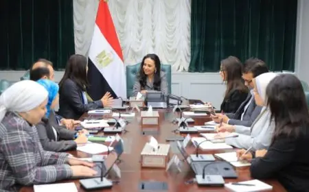 وزيرة التضامن تعقد اجتماعًا مع ممثلة برنامج الأمم المتحدة الإنمائي في مصر لتعزيز التعاون