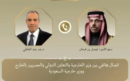 وزير الخارجية المصري يعبر عن دعم مصر القوي لمواجهة التهديدات لأمن السعودية