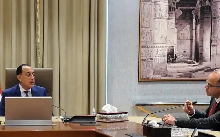 رئيس الوزراء يراقب تقدم صندوق مصر السيادي في زيادة عوائد أصول الدولة