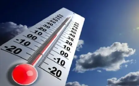 حالة الطقس غدا دافئة نهارا وباردة ليلا مع درجات حرارة دنيا 16 في القاهرة