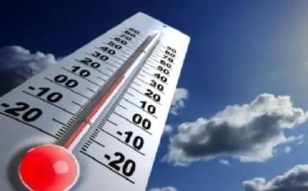 مجلس حكماء المسلمين يعبر عن إدانته الشديدة لإغلاق الاحتلال الإسرائيلي أبواب المسجد الأقصى