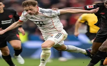 بايرن ميونخ يواصل الصراع بالتعادل مع ليفركوزن ودورتموند يحقق انتصارا هاما على أوجسبورج في الدوري الألماني