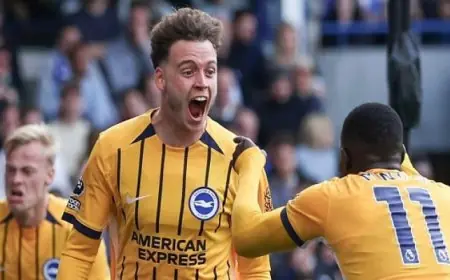 برايتون يحقق انتصارا مثيرا على سندرلاند وبيرنلى يكتفي بالتعادل مع بورنموث في الدوري الإنجليزي الممتاز