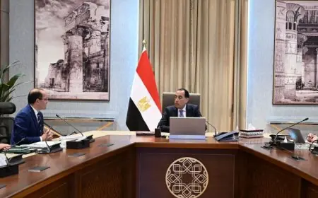 مدبولي ينظم خطة لتأمين الاعتمادات المالية اللازمة لتلبية الاحتياجات البترولية