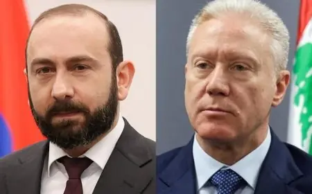 وزير الخارجية الأرميني يناقش الأوضاع في الشرق الأوسط مع نظيره اللبناني