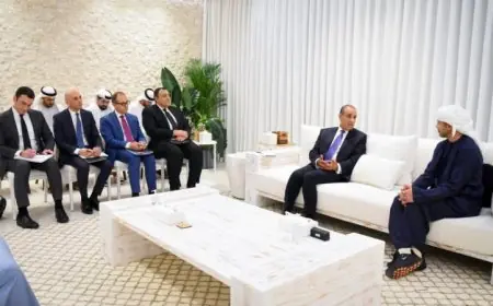 عبدالعاطي ينقل رسالة تضامن الرئيس السيسي ودعم مصر للإمارات قيادة وشعبا