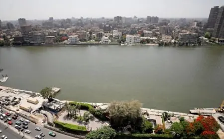 الأرصاد الجوية تحذر من طقس مائل للحرارة نهارا وبارد ليلا مع ارتفاع درجات الحرارة في القاهرة إلى 25 درجة