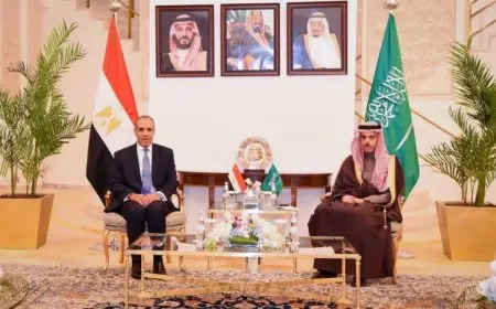 وزير الخارجية يدعو نظيره السعودي لوضع آليات فعالة لتعزيز الأمن الجماعي العربي