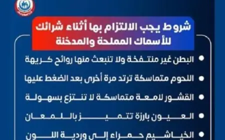 تحذيرات وزارة الصحة من مخاطر الأسماك المملحة تزامنا مع عيد الفطر