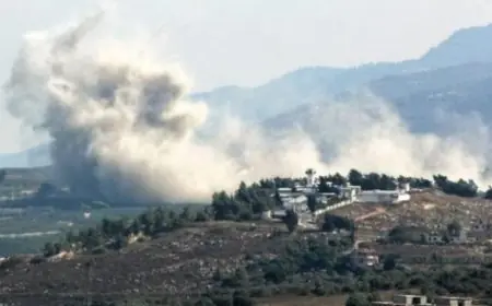 الصحة اللبنانية تعلن مقتل 4 سوريين جراء غارة إسرائيلية على بلدة جبشيت