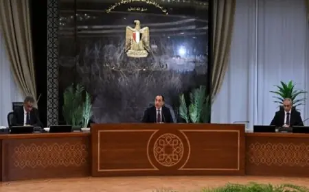 الحكومة تقرر إغلاق المحلات والمراكز التجارية في الساعة التاسعة مساء وتبحث تطبيق نظام العمل عن بعد ليوم أو يومين أسبوعيًا