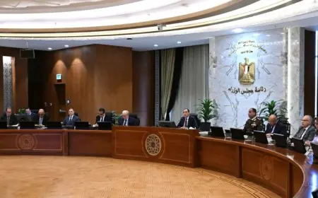 مجلس الوزراء يعتمد الاستراتيجية الوطنية لتمكين ذوي الإعاقة 2026-2030 لتعزيز الفرص والمشاركة الفعالة