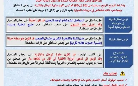 طقس اليوم في القاهرة مائل للحرارة خلال النهار وبارد ليلا مع درجات حرارة تصل إلى 23 درجة