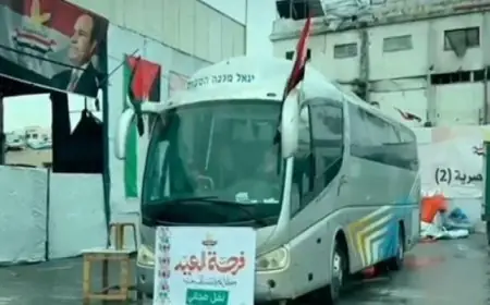 اللجنة المصرية تطلق مبادرة فرحة العيد لنقل أهالي غزة مجانًا لمساعدة المتضررين