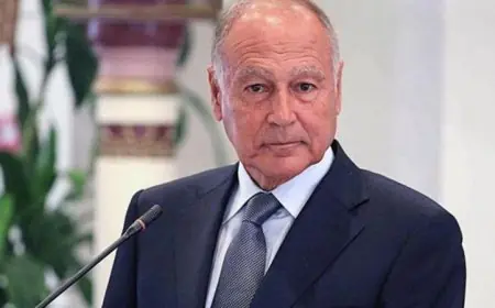 أبو الغيط يقدم تعازيه في ضحايا حادث تحطم الطائرة المروحية القطرية