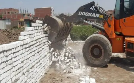 وزيرة التنمية المحلية والبيئة تكشف عن خطط التصدي لمخالفات البناء والتعديات على الأراضي الزراعية في عدة محافظات