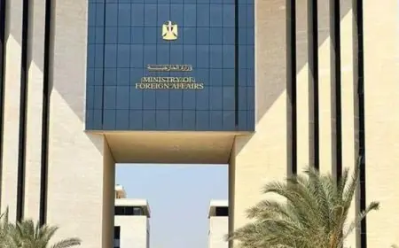 مصر تواصل العمل مع الشركاء الدوليين لخفض التوترات وسط أزمة سياسية متزايدة