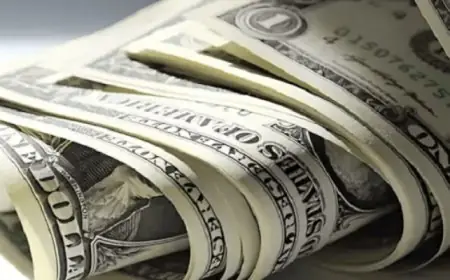 تعافى الدولار بعد خسائره مع تقييم الأسواق لقرار تأجيل الضربات على إيران