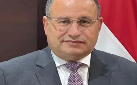 مشروع أودية التكنولوجيا يعزز دور الجامعات في دعم الابتكار وفقاً لقنصوة