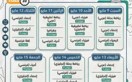 التعليم تعلن عن إطلاق النماذج الاسترشادية للثانوية العامة 2026 على موقعها الإلكتروني